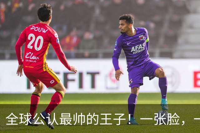 全球公认最帅的王子！一张脸，一个笑容，美得惊人！